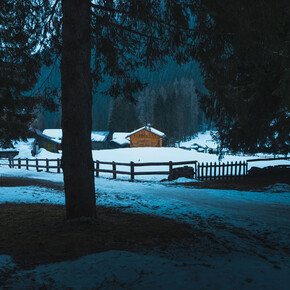 Peering through the forest: a hike with a thermal camera