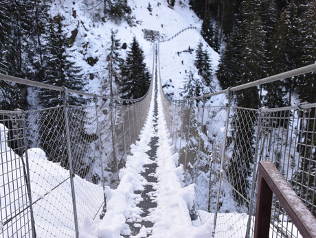 On the tracks of the Park's animals