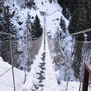 On the tracks of the Park's animals