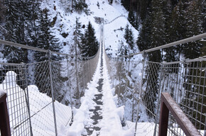 On the tracks of the Park's animals