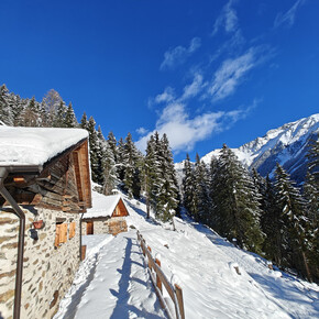 The wild baita adventure