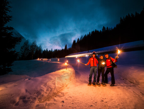 A starry sky of the Stelvio National Park