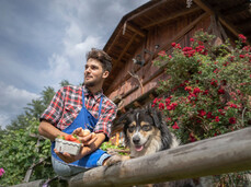 Der Nachmittag eines bauern
