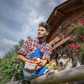 Der Nachmittag eines bauern