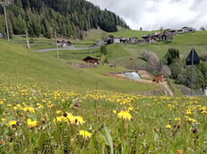 Entspanntes Summen