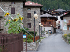 A thin line of shadow