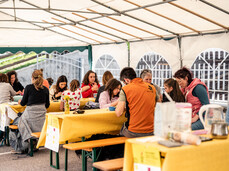 Zicoria FestiVal di Sole