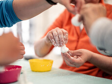 Zicoria FestiVal di Sole