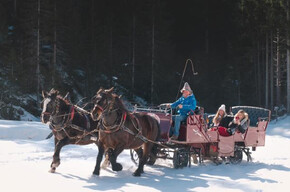 gita in carrozza Capodanno Val di Non