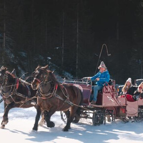 Escursione con slitta trainata da cavalli tra i boschi, i masi e i presepi di Ruffrè