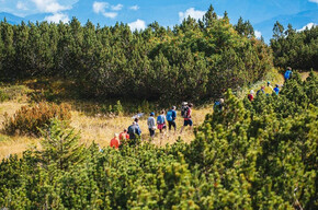 Un gruppo di escursionisti cammina in fila indiana su un sentiero che attraversa un altopiano ricoperto da una fitta vegetazione di pini mughi. Sullo sfondo si apre un ampio panorama di valli e montagne avvolte dalle nuvole.
