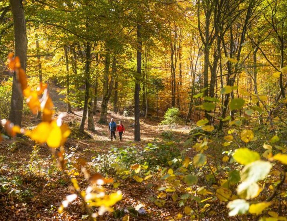 Parco del Respiro