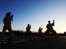 Il dono della Lentezza Il dono della Lentezza