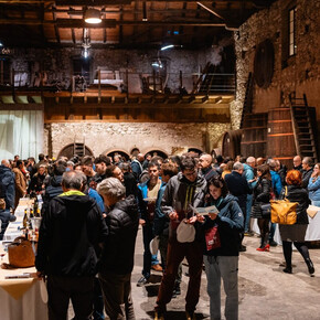 All'interno di una cantina storica con il soffitto molto alto e travi a vista si tiene un evento con degustazioni di vino. Ai lati della stanza ci sono delle grandi botti in legno, vicino a queste ci sono banchi di assaggio gestiti dai produttori locali e da altri viticoltori invitati all'evento. Un gruppo numeroso di persone si sta godendo l'evento, chiacchierando con i produttori e sorseggiando vino.