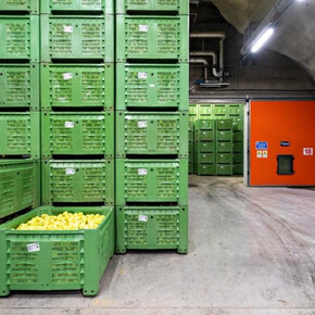 INTACTURE - IL DATACENTER IPOGEO: L'infrastruttura invisibile dell'AI dentro l'ecosistema minerario TERA