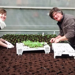 Laboratori 2026 Floricoltura Piazzera