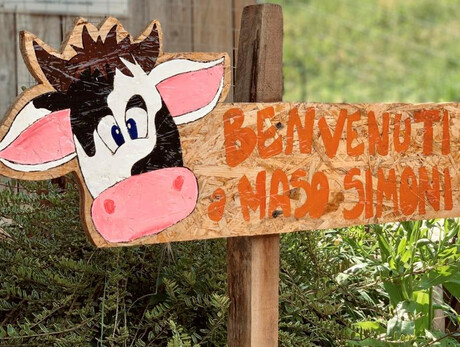 Mini-Fattoria a Maso Simoni