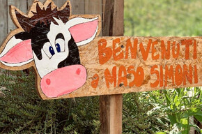 Mini-Fattoria a Maso Simoni