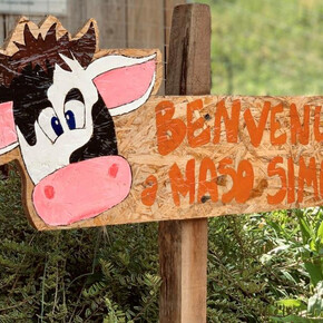 Mini-Fattoria a Maso Simoni