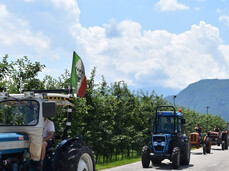 Auf dem Bild sind viele Traktoren aus vergangenen Zeiten in einer Reihe zu sehen. Sie wurden wahrscheinlich von den Großeltern der Leute benutzt, die sie jetzt stolz führen, um sie den Menschen entlang der Straße zu zeigen. Sie befinden sich auf einer kleinen Landstraße, umgeben von Apfelplantagen, Bauernhöfen (Masi) und Bergen.