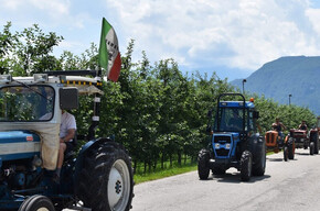 Auf dem Bild sind viele Traktoren aus vergangenen Zeiten in einer Reihe zu sehen. Sie wurden wahrscheinlich von den Großeltern der Leute benutzt, die sie jetzt stolz führen, um sie den Menschen entlang der Straße zu zeigen. Sie befinden sich auf einer kleinen Landstraße, umgeben von Apfelplantagen, Bauernhöfen (Masi) und Bergen.