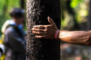 Primo piano della mano di una persona che tocca la corteccia di un albero, in un gesto che esprime connessione con la natura, tipico del forest bathing. Sullo sfondo, altre persone del gruppo sono visibili in modo sfocato, all'interno di una foresta.