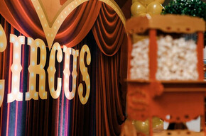 L'immagine mostra la scritta Circus e dei pop corn