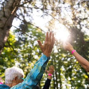 Foto di persone che alzano le mani al cielo in un bosco