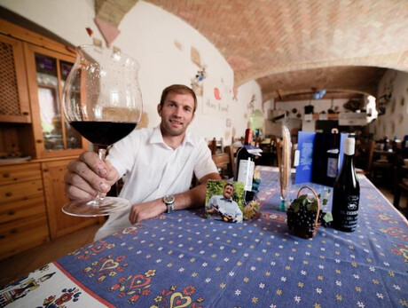 Visita e degustazione in cantina El Zeremia
