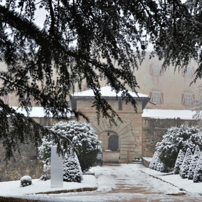 Visita guidata a Castel Thun