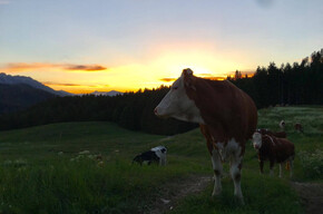 Sunrise in the mountain hut