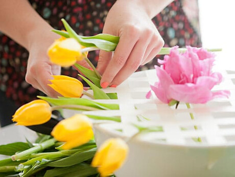 Aperitivo fiorito - Laboratorio