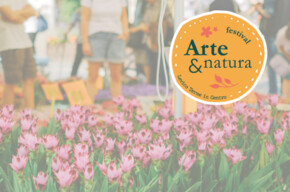 Art and Nature in the Centre