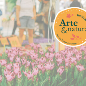 Kunst und Natur im Zentrum