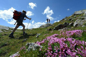 Cammina, pedala, resprira...un abbraccio alla natura, un dono per la vita