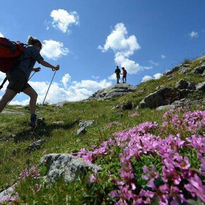 Cammina, pedala, resprira...un abbraccio alla natura, un dono per la vita