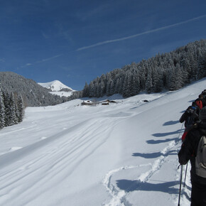 Chiari di luna sul Furet