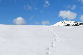 Cima d’Asta Skyrace – Non competitive walk