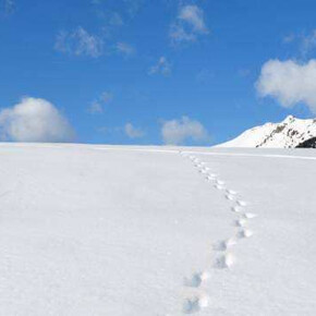 Cima d’Asta Skyrace – Non competitive walk