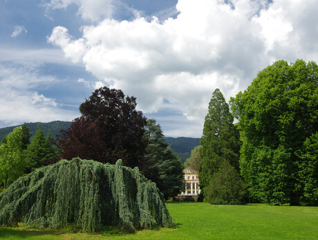 Concerts "Vivere il Parco" - Bach: variazioni Goldberg