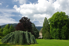 Concerts "Vivere il Parco" - Bach: variazioni Goldberg