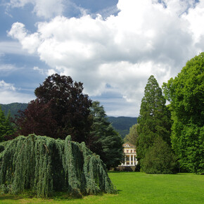 Concerts "Vivere il Parco" - Bach: variazioni Goldberg