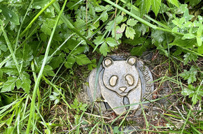 Creating with nature