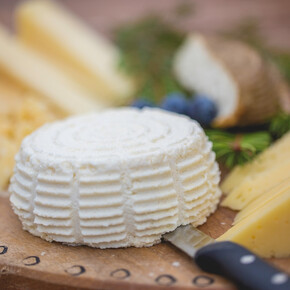 Local cheese and cold cuts tasting