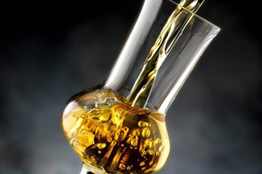 Grappa and liquor tasting