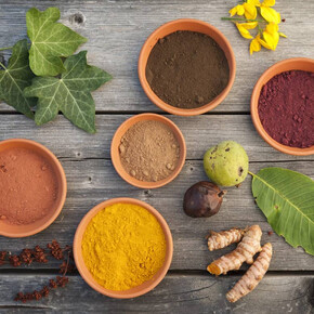 Eco Printing: dye with plants and flowers