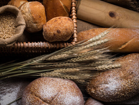 Bäckerei-Workshop mit Berggetreide