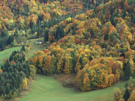 Hunter’s Festival in Val di Sella 