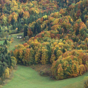 Hunter’s Festival in Val di Sella 