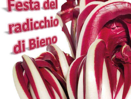 Radicchio Feast
